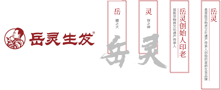 岳靈生發成立于1997年