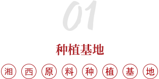 岳靈生發種植基地